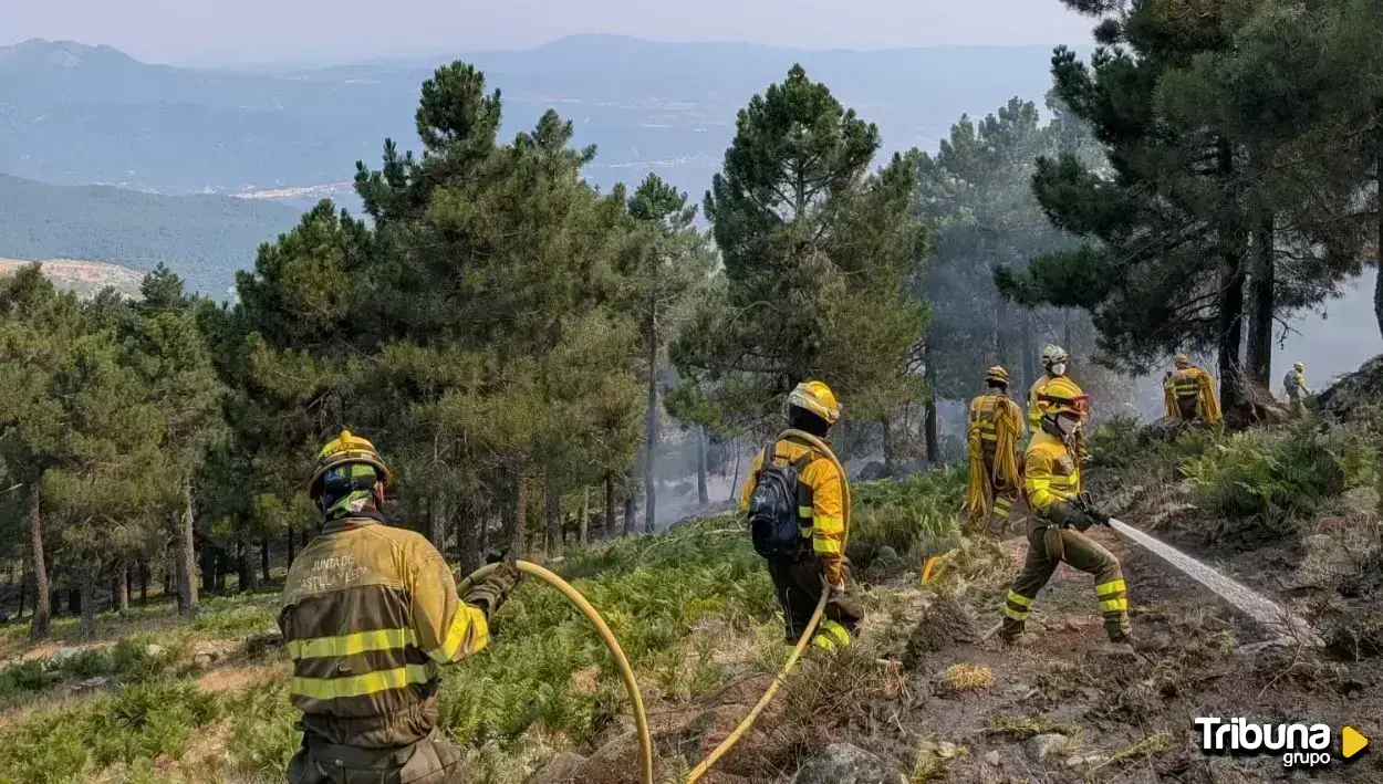 Un incendio forestal en Pozuelo de Tábara corta la carretera N-631 en ambos sentidos